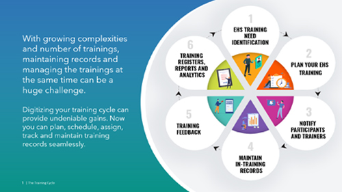 The Training Life Cycle