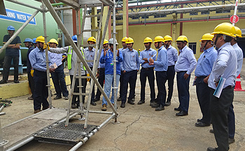 Scaffolding Training